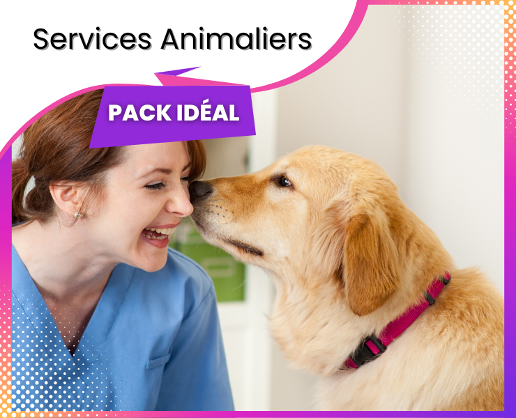 Pack Services Animaliers (Vétérinaires, Toilettage, Pensions)